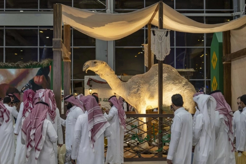 منطقة المحنطات